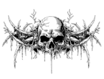 Skull Clothes Group