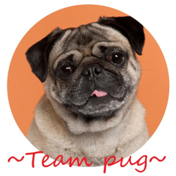 ~Team Pug~'s Headquarters