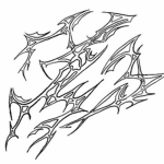 ignify