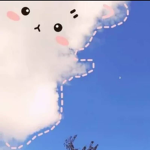 Passion’s meows
