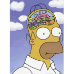 I Have No Brains
