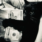 /compkittyK