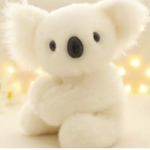 Koalas Group club