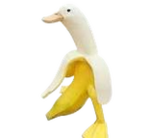 Banana Duck Studio
