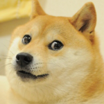 Doge empire only doges