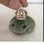 Frog1