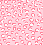 Pink and preppy boutique