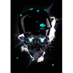 Black Skeleton Studios