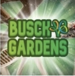 ROBLOX BGW & WATER COUNTRY USA