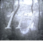 TmzDhc
