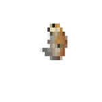Kingdom of the lost world of memes