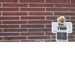 Brick by bricks