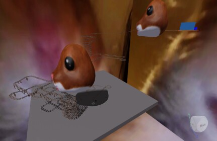 Hamster Cart Ride