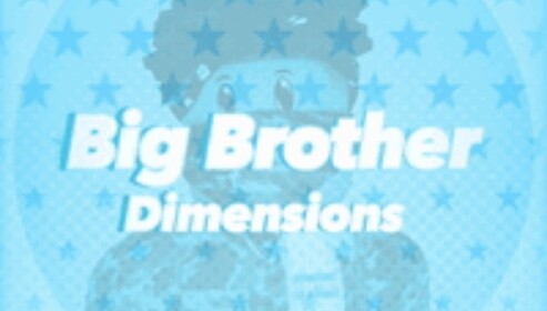 Big Brother Dimension Season 4
