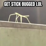 GET STICK BUGGED LOL