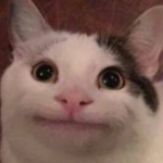 Pog Cat of Gods