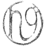 n96u