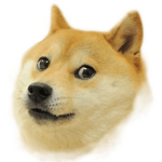 D.O.G.E.S