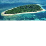The Green Island