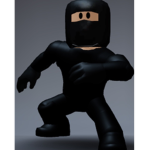 THE NINJA'S FOREVER