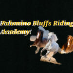 Palomino Bluffs Riding Academy!
