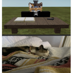 Fox Industry’s | Kiwi Fanclub