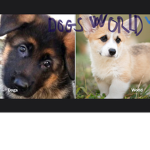 Dog’s world