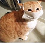 winnerclothes Group Thumbnail