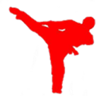 Roblox Karate Team