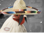 Mexican Chickens