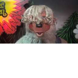 ##### bear wrold