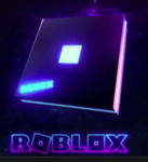 roblox pro any thing