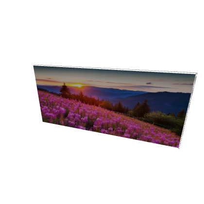 picture paint neon sign 