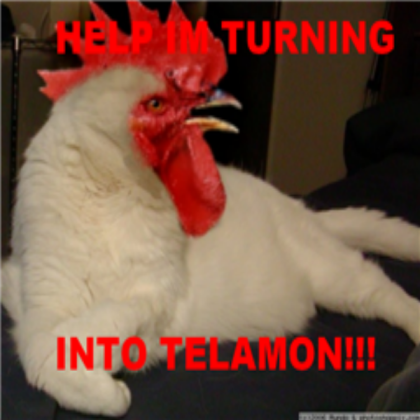 Tela-cat!!!lol Roblox decal