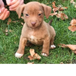 #poopoopoo