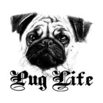 TheAmazingPugs