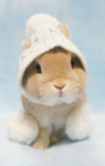 The Bunny People :]