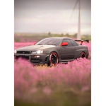 ROBLOX'ez pro
