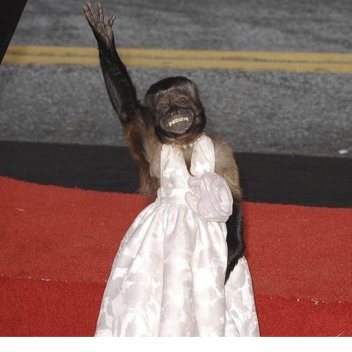 djSparkles890's Place