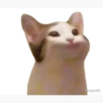 The Cat T3AM