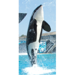 Sea World Adventure Parks