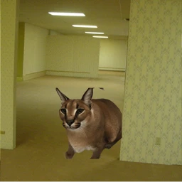 FLOPPA In The Backrooms icon