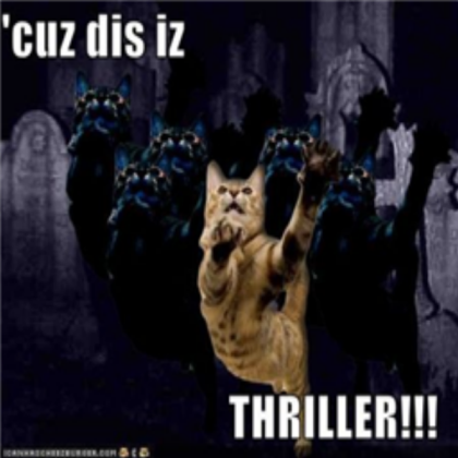funny cat!!! Roblox decal