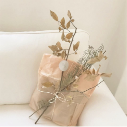 :･ﾟ✧french homestore:･ﾟ✧