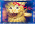 0-*-Epic-CatZ-*-0