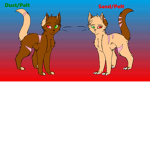 Warrior cats Willow Clan