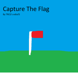 Capture the Flag