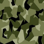 CAMO SQUAD FOR LIE