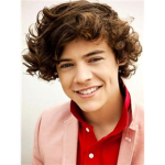 Harry Styles fan club
