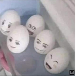 蛋哥的專屬領域